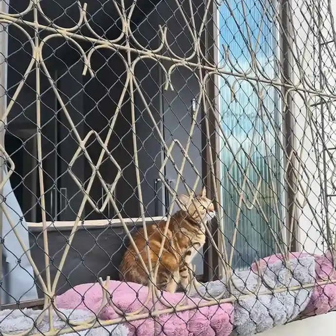 Portão comum e reforçado com rede